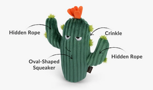 P.L.A.Y Pet Lifestyle and You - Blooming Buddies Prickly Pup Cactus Dog Toy