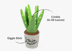 
            
                Load image into Gallery viewer, P.L.A.Y Pet Lifestyle and You - Blooming Buddies Aloe-ve You Plant
            
        