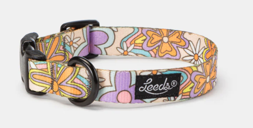 Leeds Dog Supply - Dazey Collar