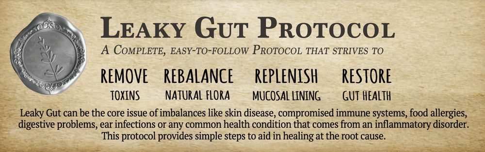 
            
                Load image into Gallery viewer, Adored Beast Apothecary - Leaky Gut Protocol
            
        