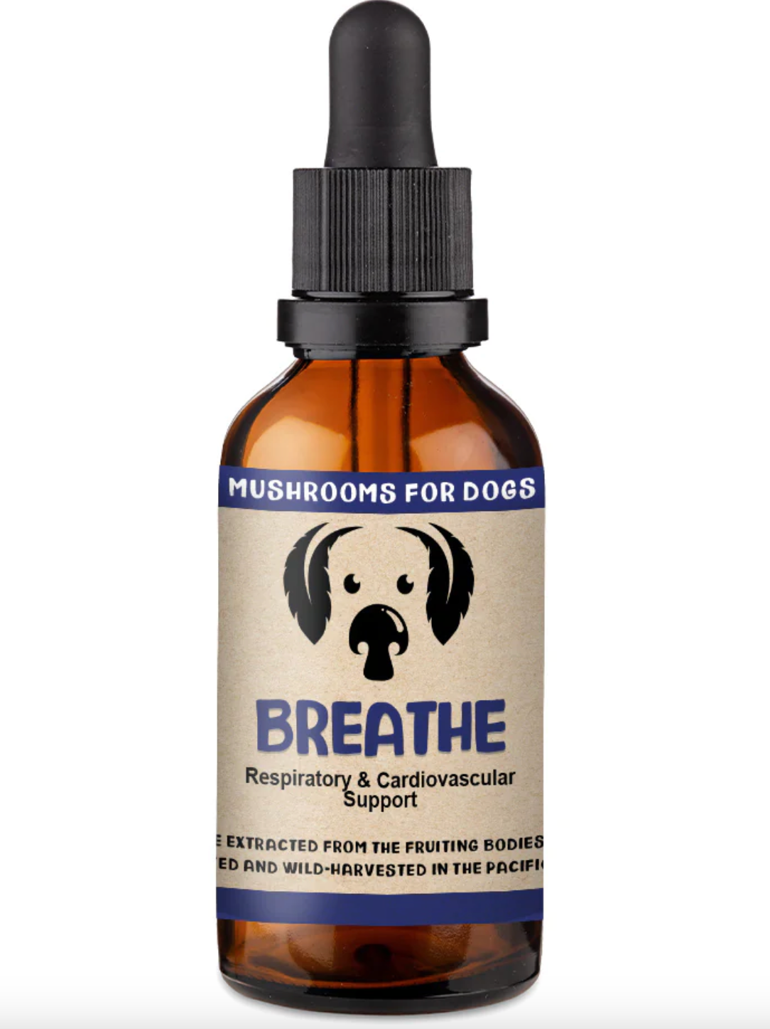MycoDog- Mushroom Tincture- Breathe (1oz, 2oz)
