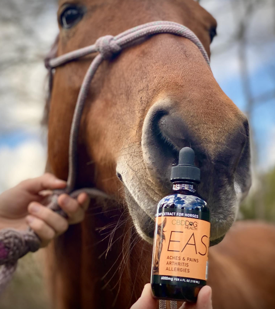 EASE HORSE Oil | 6000mg - Aches, Arthritis, Allergies