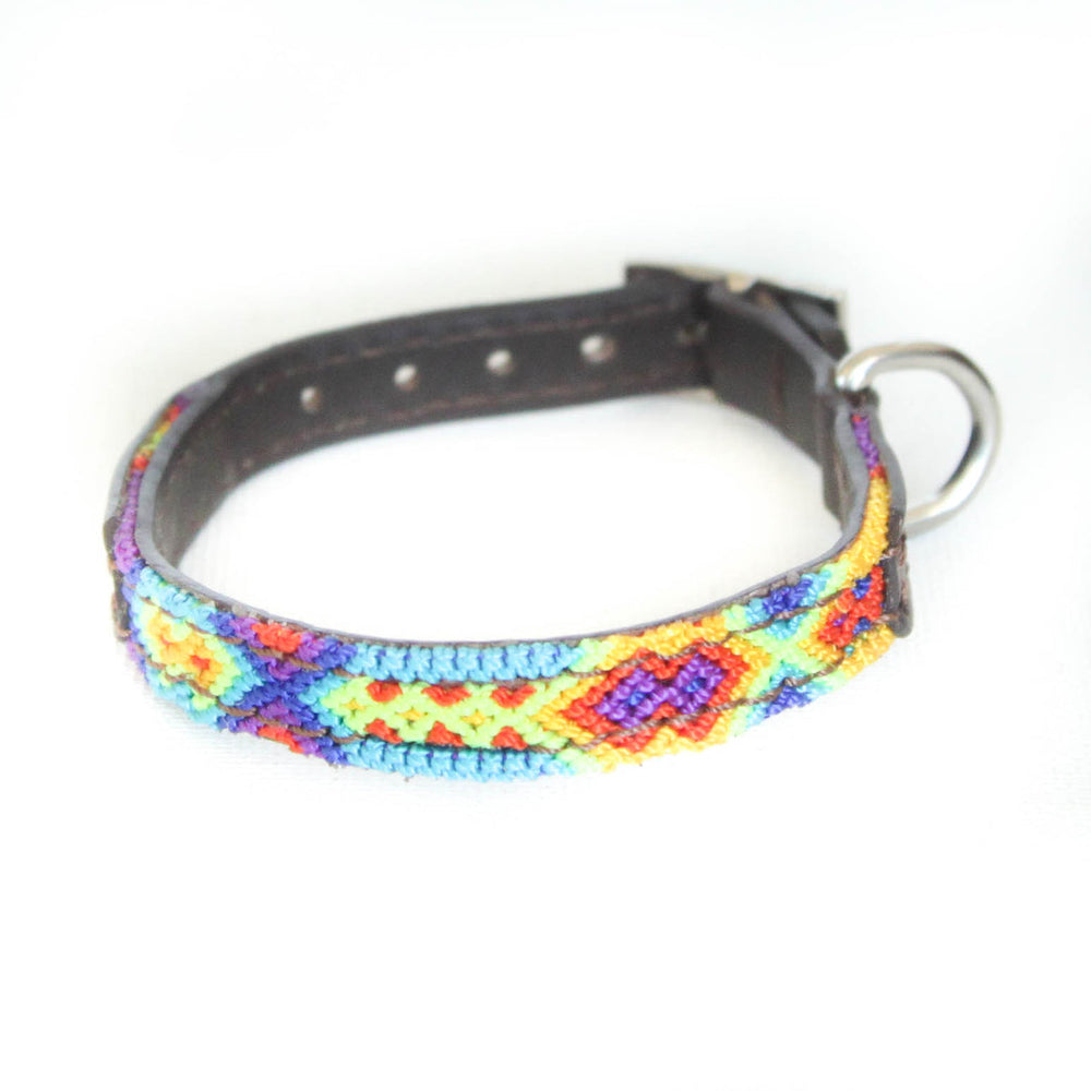 Eclectic Array Horizon Small Collar