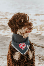 
            
                Load image into Gallery viewer, Sandy Paws All You Need is Love Denim Bandana
            
        