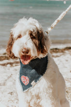 
            
                Load image into Gallery viewer, Sandy Paws All You Need is Love Denim Bandana
            
        