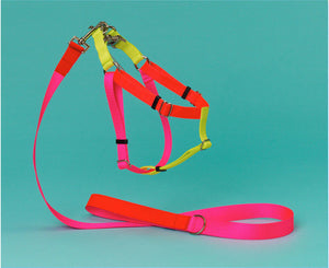 Ware of the Dog Neon Harness