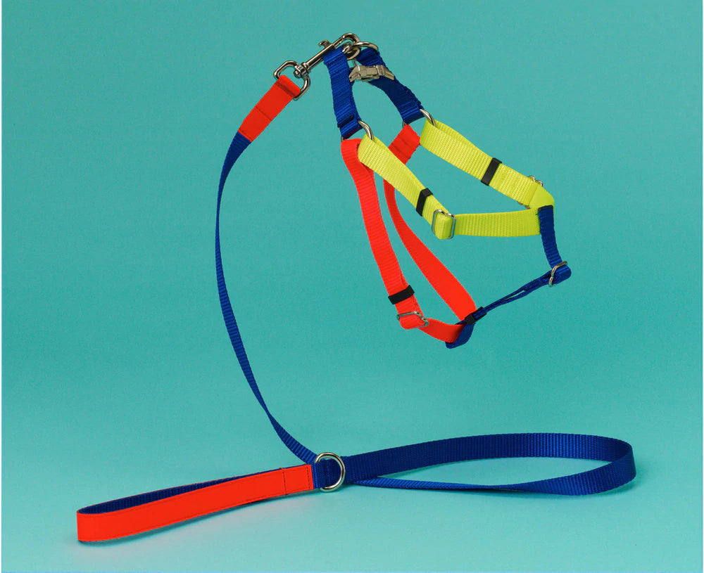 Ware of the Dog Neon Harness