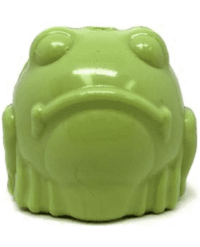 
            
                Load image into Gallery viewer, SodaPup Bull Frog
            
        
